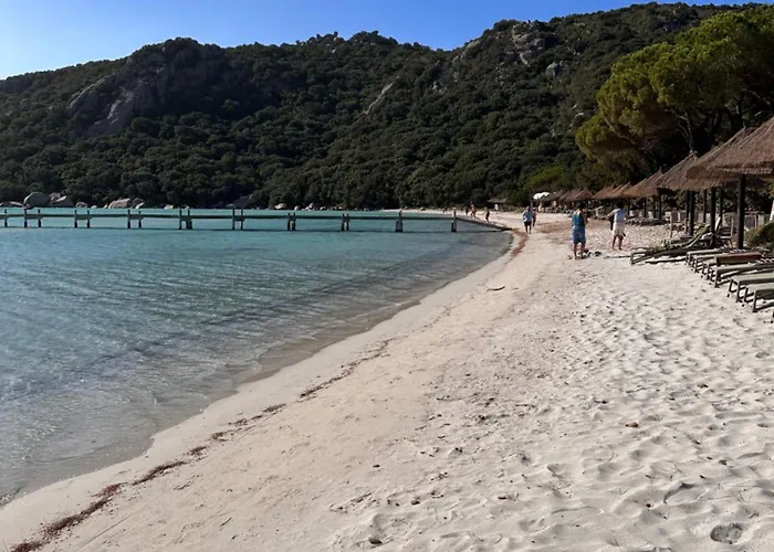 Private Pool Heated 5 Min From Sea Fast Wifi * Porto-Vecchio (Corsica)